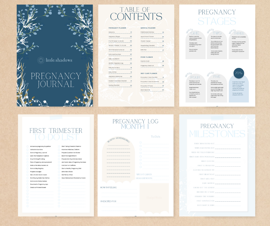 little shadows pregnancy journal layout