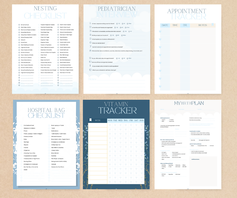 little shadows pregnancy journal prompts