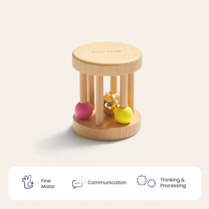 Tiny Land® Montessori Toys for Newborns (0–3 Months)