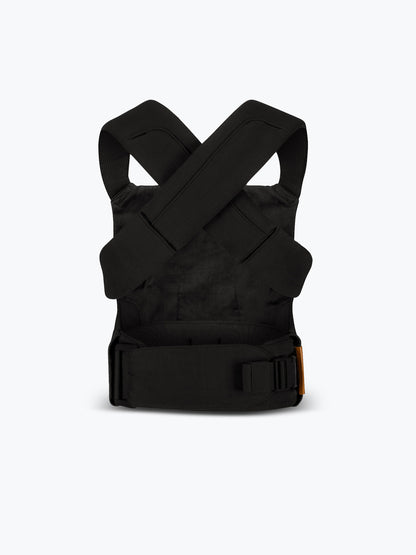 Raven - Aerial Carrier
