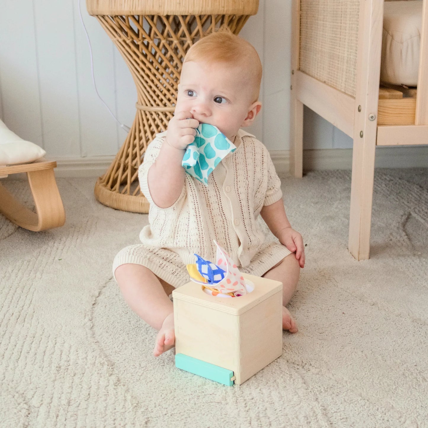 Tiny Land® Montessori Toys for Newborns (4–6 Months)